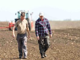 "Marca empleadora: clave para retener talento agro"