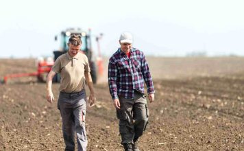 "Marca empleadora: clave para retener talento agro"