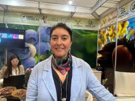 Margarita Torres: “Brasil ofrece un enorme espacio para seguir posicionando la oferta viverística hortofrutícola chilena”