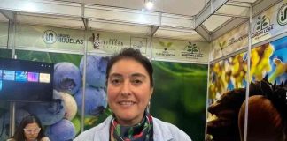 Margarita Torres: “Brasil ofrece un enorme espacio para seguir posicionando la oferta viverística hortofrutícola chilena” Margarita Torres: “Brasil ofrece un enorme espacio para seguir posicionando la oferta viverística hortofrutícola chilena”