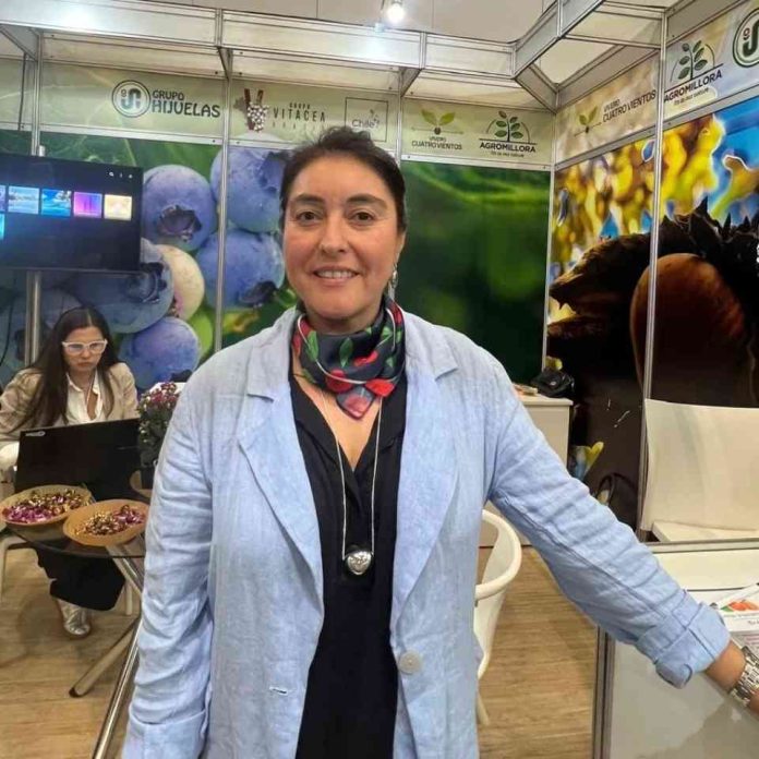 Margarita Torres “Brasil ofrece un enorme espacio para seguir posicionando la oferta viverística hortofrutícola chilena” Margarita Torres: “Brasil ofrece un enorme espacio para seguir posicionando la oferta viverística hortofrutícola chilena”