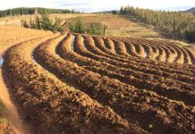 Más de 500 agricultores y agricultoras de Ñuble serán beneficiados por INDAP con más de $1.000 millones para recuperar sus suelos