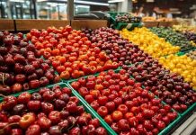 “Más de agraz que de dulce”: balance de la reciente temporada de cerezas chilenas 