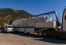 Minagri transfiere $13 mil millones en apoyo a agricultores ante el alza de precios en insumos