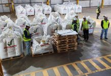 Multiplicación de semillas certificadas destacan impacto estratégico de la industria en Ñuble