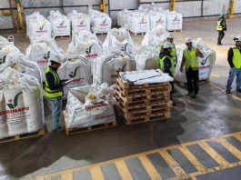 Multiplicación de semillas certificadas destacan impacto estratégico de la industria en Ñuble