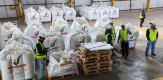 Multiplicación de semillas certificadas destacan impacto estratégico de la industria en Ñuble