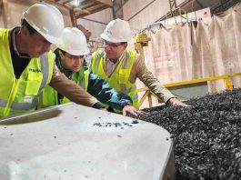 Ñuble se proyecta como referente internacional en multiplicación de semillas certificadas