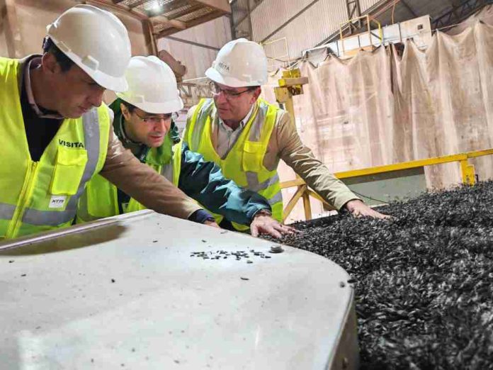 Ñuble se proyecta como referente internacional en multiplicación de semillas certificadas