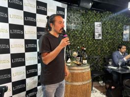 Nuevo hito para el Enoturismo del Biobío: Viticultor Roberto Henríquez se une a Sabores Lotinos
