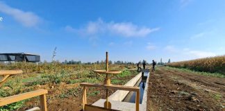 Obras de riego en Ñuble beneficiarán a más de 115 agricultores y mejorarán la seguridad hídrica Obras de riego en Ñuble beneficiarán a más de 115 agricultores y mejorarán la seguridad hídrica