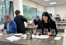 Panel de expertos evaluó estándar de exportación para proyectar vinos del Biobío al mercado global