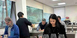 Panel de expertos evaluó estándar de exportación para proyectar vinos del Biobío al mercado global