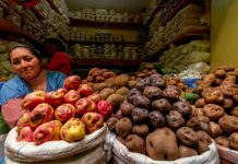 Perú publica directrices sobre edición genética