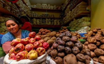 Perú publica directrices sobre edición genética