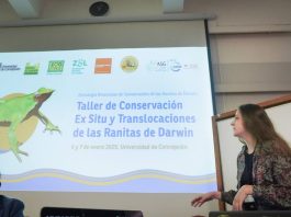 Plan RECOGE de las Ranitas de Darwin