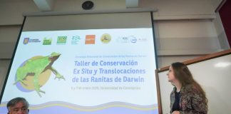 Reportaje | Ya es oficial: publican Plan RECOGE de las Ranitas de Darwin Plan RECOGE de las Ranitas de Darwin