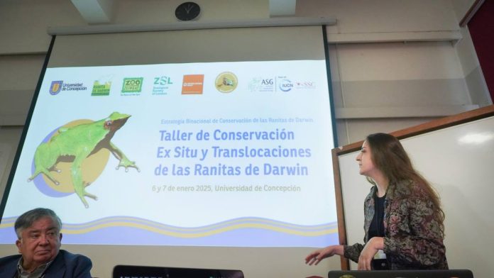 Plan RECOGE de las Ranitas de Darwin Plan RECOGE de las Ranitas de Darwin