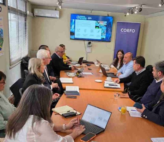 Presencia clave de la Seremi de Economía marca quinta sesión de gobernanza del PTI Industria Sostenible del Salmón