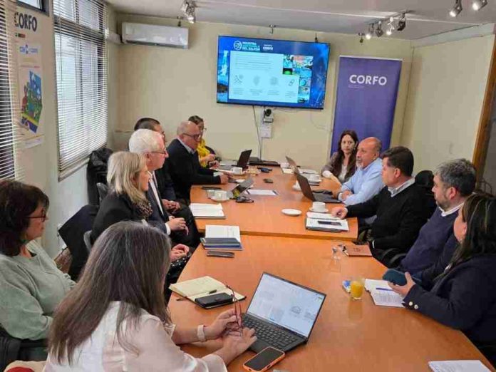 Presencia clave de la Seremi de Economía marca quinta sesión de gobernanza del PTI Industria Sostenible del Salmón