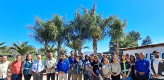 Programa de Arborización Urbana 18 mil nuevos árboles para la Región Metropolitana