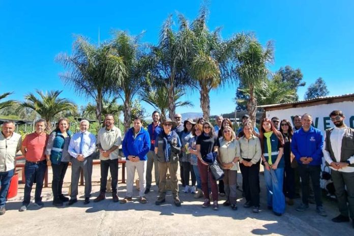 Programa de Arborización Urbana 18 mil nuevos árboles para la Región Metropolitana