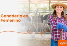 Programa de Zoetis busca aportar a una industria del agro más sostenible e inclusiva