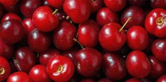 Realizan investigación para descifrar el daño que afecta a la calidad de las cerezas chilenas