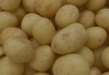 Reportaje | La economía de la captura de valor en las papas : dónde se crea valor, dónde se pierde y por qué es importante ahora