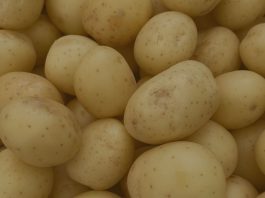 Reportaje | La economía de la captura de valor en las papas : dónde se crea valor, dónde se pierde y por qué es importante ahora