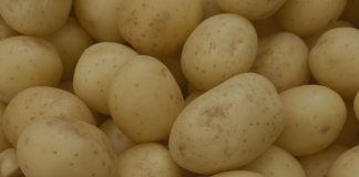 Reportaje | La economía de la captura de valor en las papas : dónde se crea valor, dónde se pierde y por qué es importante ahora