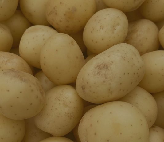 Reportaje | La economía de la captura de valor en las papas : dónde se crea valor, dónde se pierde y por qué es importante ahora