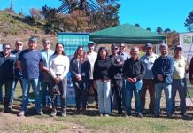 Riego en Icalma apuesta por una ganadería climáticamente inteligente