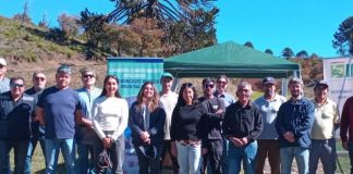 Riego en Icalma apuesta por una ganadería climáticamente inteligente