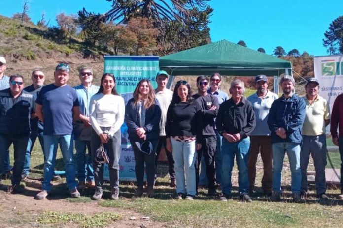 Riego en Icalma apuesta por una ganadería climáticamente inteligente