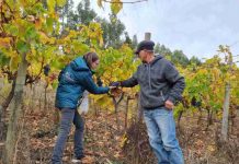 SAG destaca vigencia indefinida de acuerdo orgánico que favorece exportaciones chilenas