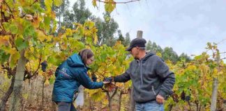 SAG destaca vigencia indefinida de acuerdo orgánico que favorece exportaciones chilenas