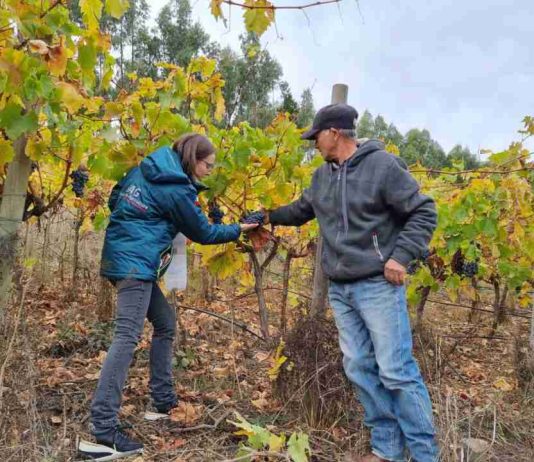 SAG destaca vigencia indefinida de acuerdo orgánico que favorece exportaciones chilenas