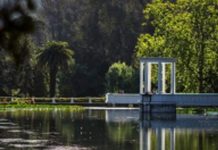 SAG refuerza vigilancia por influenza aviar en Jardín Botánico de Viña del Mar
