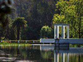 SAG refuerza vigilancia por influenza aviar en Jardín Botánico de Viña del Mar