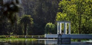 SAG refuerza vigilancia por influenza aviar en Jardín Botánico de Viña del Mar