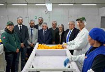 SAG y Frutas de Chile dan inicio en Coquimbo a la temporada de exportaciones de cítricos a Estados Unidos