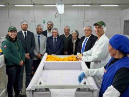 SAG y Frutas de Chile dan inicio en Coquimbo a la temporada de exportaciones de cítricos a Estados Unidos