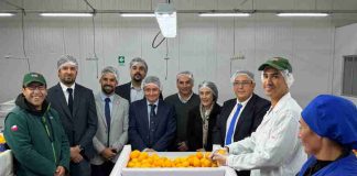 Noticia: SAG y Frutas de Chile dan inicio en Coquimbo a la...