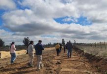 SEA Ñuble realiza visita técnica a planta avícola en la comuna de San Carlos