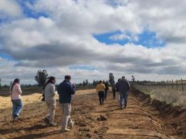 SEA Ñuble realiza visita técnica a planta avícola en la comuna de San Carlos