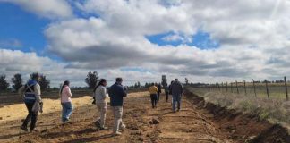 SEA Ñuble realiza visita técnica a planta avícola en la comuna de San Carlos SEA Ñuble realiza visita técnica a planta avícola en la comuna de San Carlos
