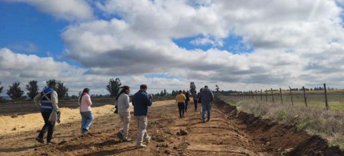 SEA Ñuble realiza visita técnica a planta avícola en la comuna de San Carlos