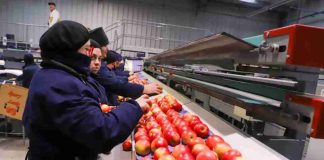 San Clemente Fruits ficha a Andrés Izquierdo para liderar una nueva etapa de crecimiento y proyección