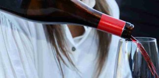 San Fernando se prepara para celebrar su Vendimia 2026 con foco en el vino y la identidad local y un gran show musical